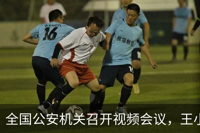 全国公安机关召开视频会议，王小洪部长强调提升安全保障能力